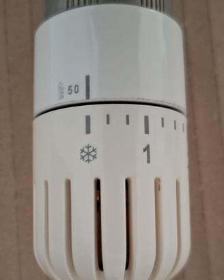 Valvole termostatiche per radiatori