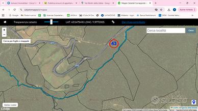 Terreno boschivo di 20 ettari - Comune di