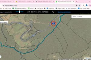 Terreno boschivo di 20 ettari - Comune di