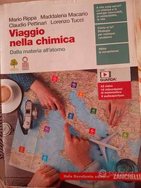 Viaggio nella chimica - Rippa, Macario, Pettinari 