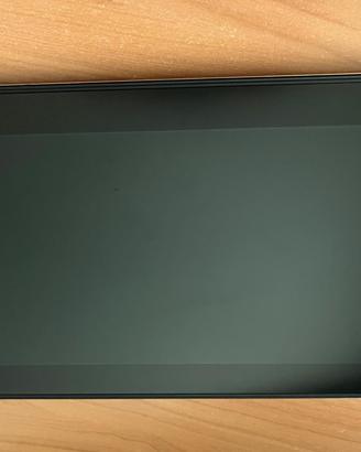 HUION Kamvas Pro 12 Tavoletta Grafica con Schermo 