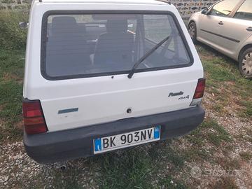 Fiat panda young