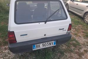 Fiat panda young