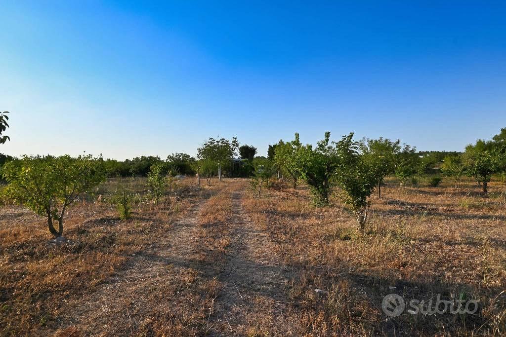 Terreno di 8800 m² a Putignano - Vista 3