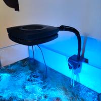 Prime 16 hd AI acquario marino 