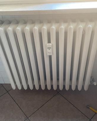 Radiatore termosifone ad acqua
