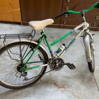 Bici mtb da donna Bianchi