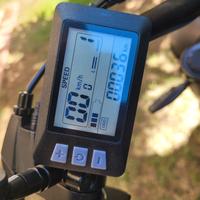 Bici elettrica e a pedalata assistita