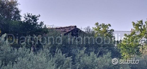 Terreno 7.000 mq e rustico a pidimonte etneo - Vista 3