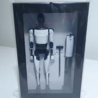 Bot Tesla Action figure 1:10