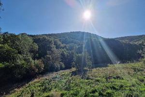 TERRENI AGRICOLI IN CASAGLIANA