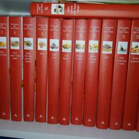 Enciclopedia della cucina italiana-16 volumi