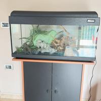 Acquario con accessori