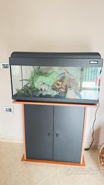 Acquario con accessori
