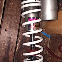 Minarelli Polini Evolution Malossi mhr team 