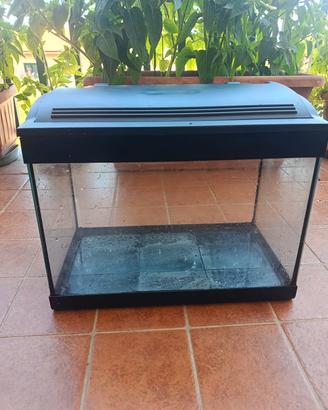  acquario 35 litri 