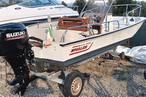 BOSTON WHALER 17 MONTAUK