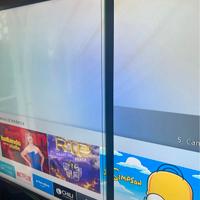 samsung 55" schermo rotto 