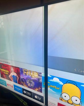 samsung 55" schermo rotto 