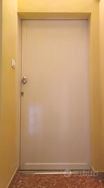 N. 1 PORTA IN ALLUMINIO CON TAMPONAMENTO A DOGHE