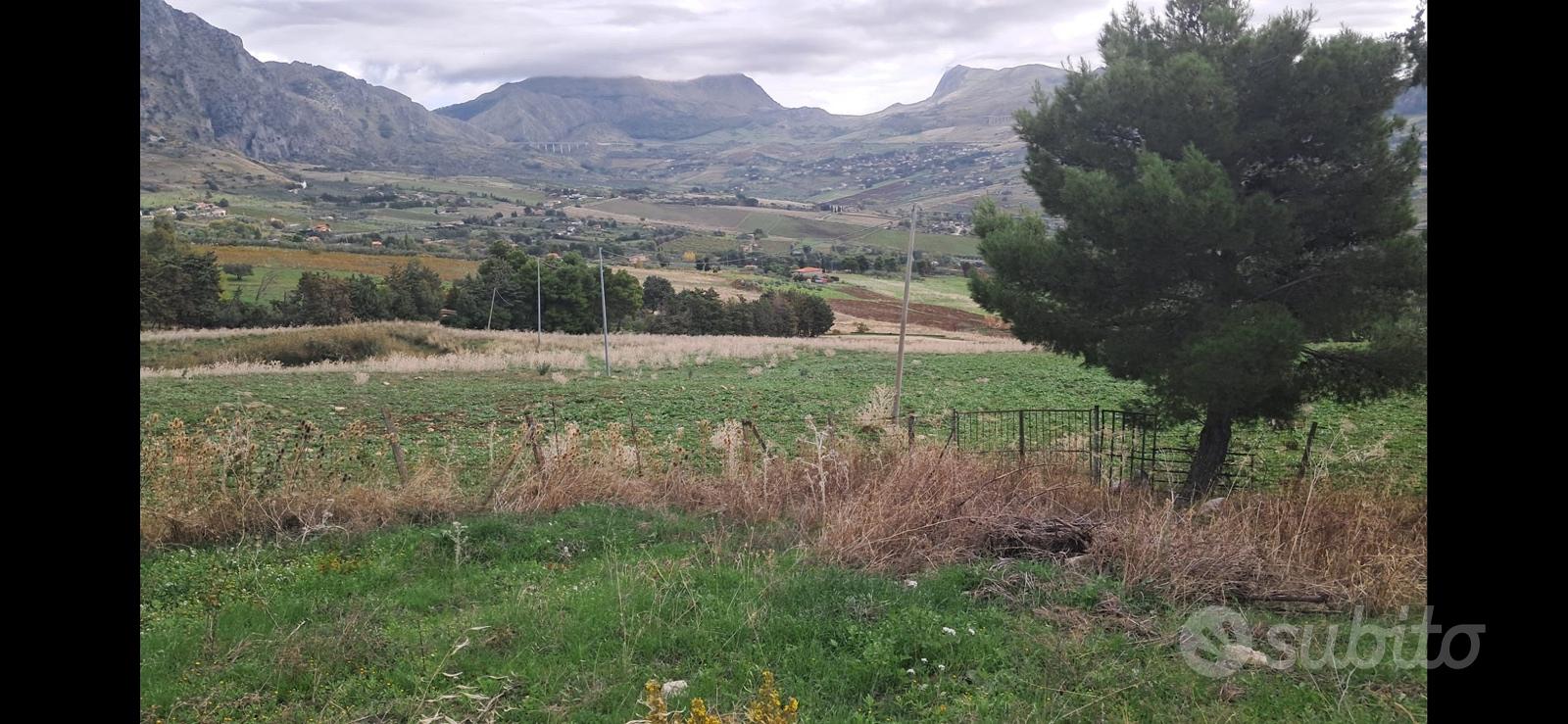 Casa in campagna con 4 ettari di terreno - Vista 2