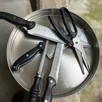 Coltelli da cucina, trinciapollo e vassoio