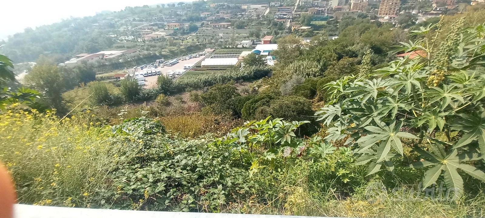 Pianura Via Angogna Rif.123T - Vista 3