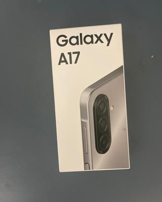 Samsung a17