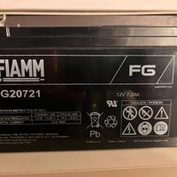 Batteria ricaricab. FIAMM per allarmi, luci d’emer