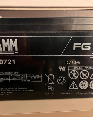 Batteria ricaricab. FIAMM per allarmi, luci d’emer