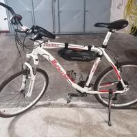 bici MTB 26 XL bottecchia