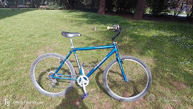 bicicletta mtb modificata