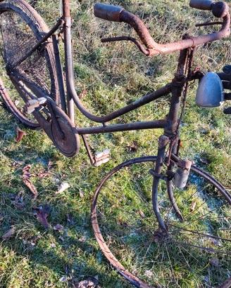 bicicletta 
