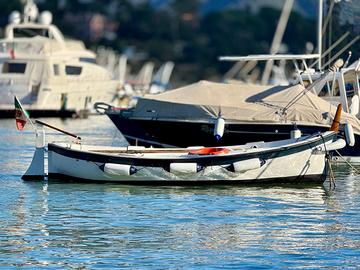 Gozzo vetroresina primula