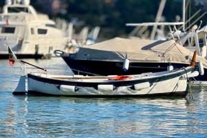 Gozzo vetroresina primula