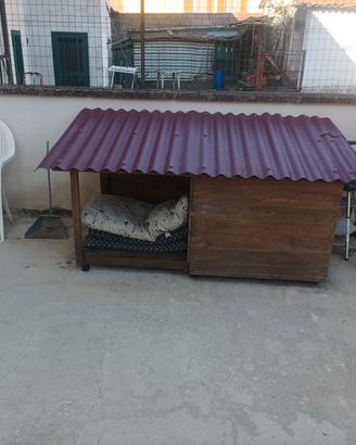 cuccia per cani 