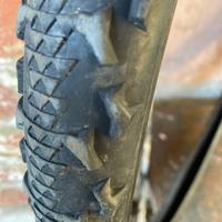 Copertone e cerchio mtb 26”