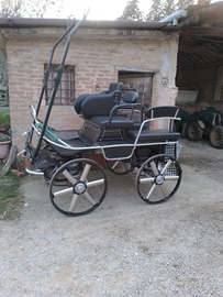 Carrozza maratona singolo/pariglia
