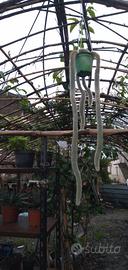 giardino fai pianta grassa te