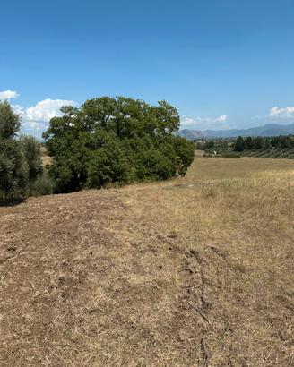 Terreno agricolo
