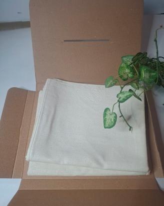 Coppia federe in lino grezzo avorio