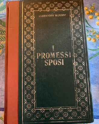 I Promessi Sposi libro Alessandro Manzoni Peruzzo