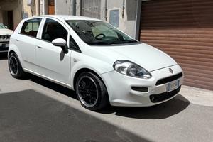 Punto 1.3 multijet