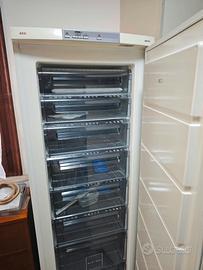 congelatore aeg artics 245 L