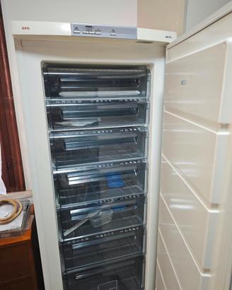 congelatore aeg artics 245 L