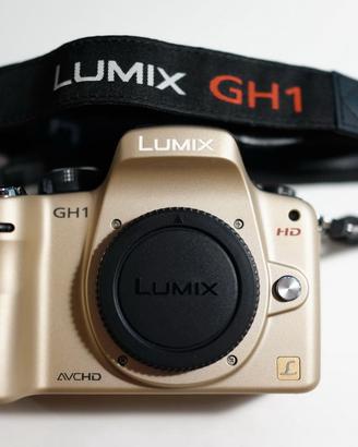 Panasonic LUMIX GH1 GOLD 3046 scatti DA COLLEZIONE