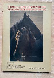 DOMA E ADDESTRAMENTO DEL PULEDRO MAREMMANO BRADO