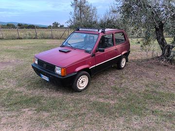 Panda 1.1 Young 