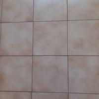 Cercopiastrelle  Ragno 20x20