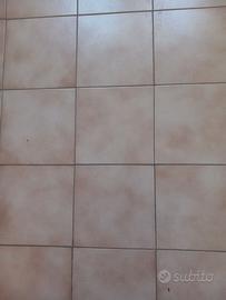 Cercopiastrelle  Ragno 20x20